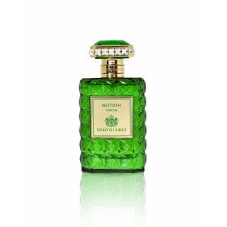 SPIRIT OF KINGS Notion